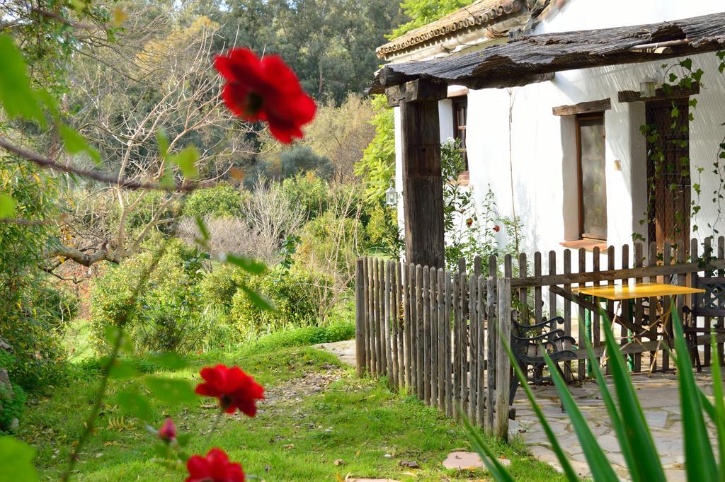 Casa Rural Ahoraya El Colmenar Exterior photo