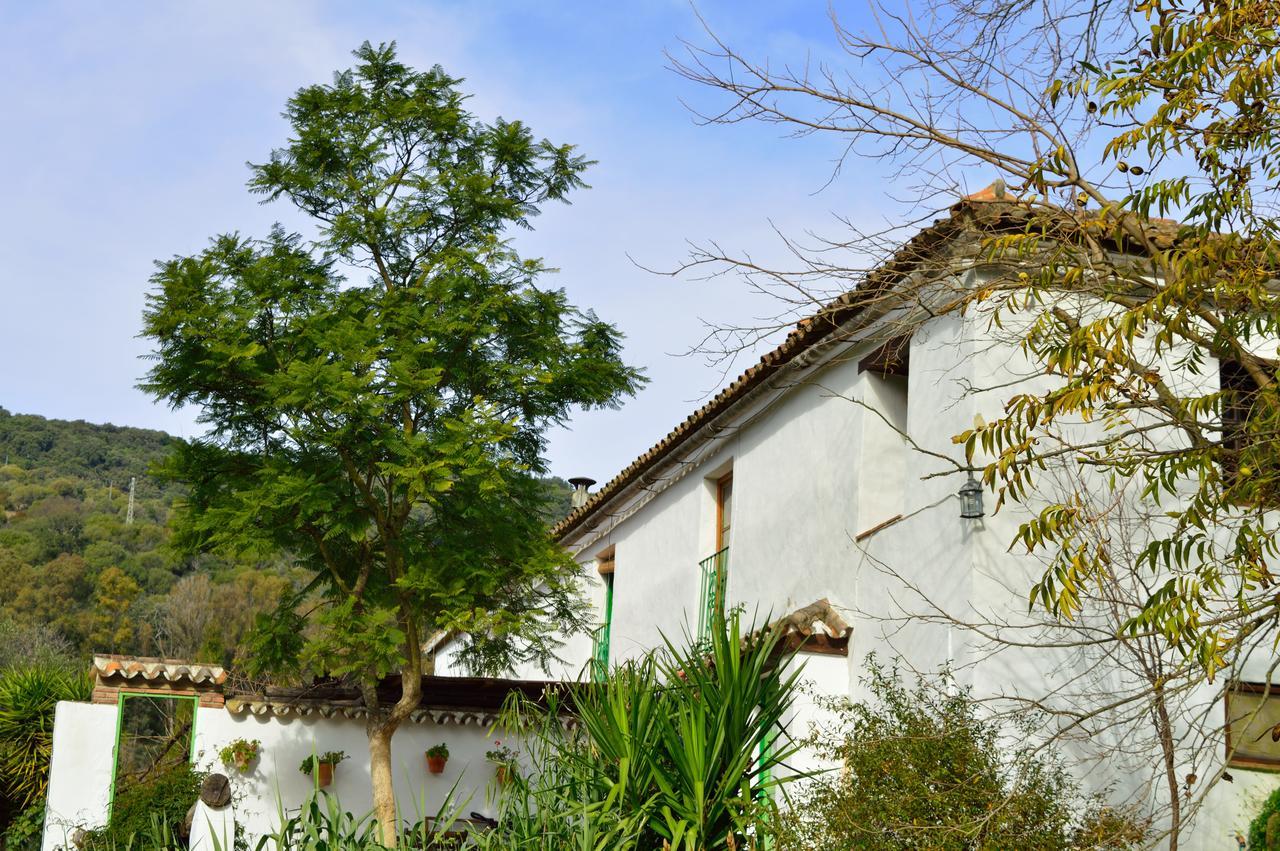 Casa Rural Ahoraya El Colmenar Exterior photo